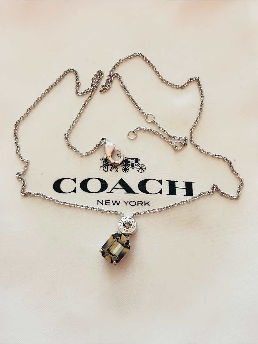 Coach Smoky Gray Stone Charm Necklace - Picture 14 of 14